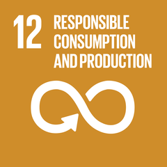 Sustainability goal 12