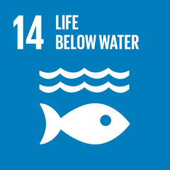 Sustainability goal 14