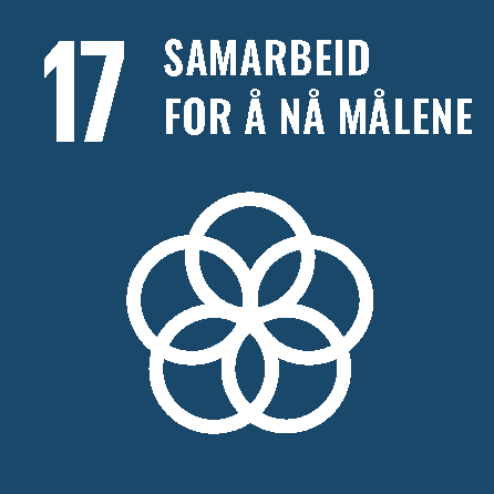 Sustainability goal 17